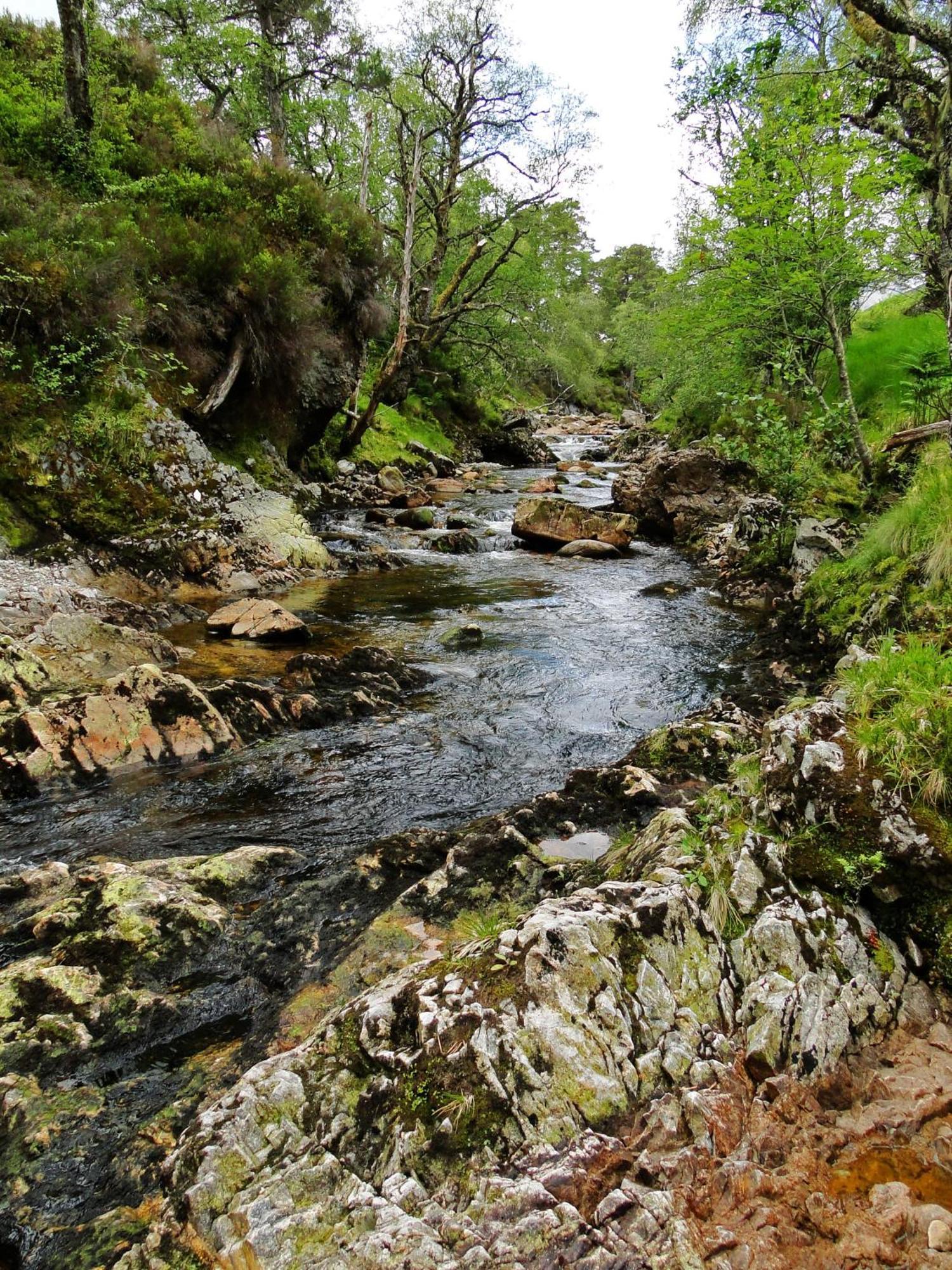 Park Guest House Inverness Esterno foto